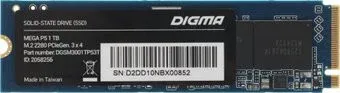 Digma Mega P5 1TB DGSM3001TP53T