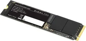 Digma Pro Top P8 1TB DGPST4001TP8T7
