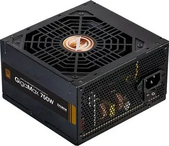 Zalman GigaMax ZM750-GVII