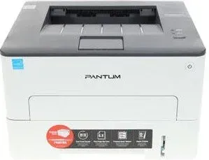 Pantum P3010D