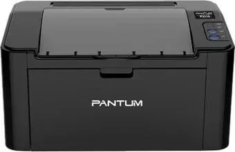 Pantum P2516