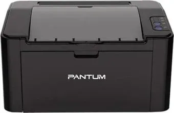 Pantum P2507