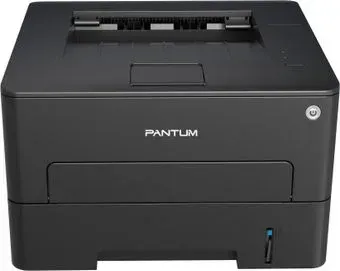 Pantum P3020D