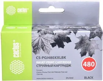 CACTUS CS-PGI480XXLBK (аналог Canon PGI-480XXL PGBK)