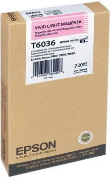 Epson C13T603600
