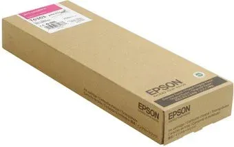 Epson C13T636300