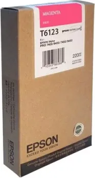 Epson C13T612300
