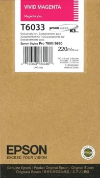 Epson C13T603300