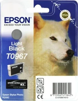 Epson C13T09674010