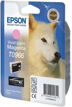 Epson C13T09664010