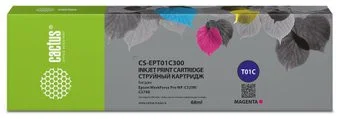 CACTUS CS-EPT01C300 (аналог Epson T01C3)