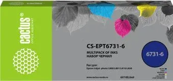 CACTUS CS-EPT6731-6