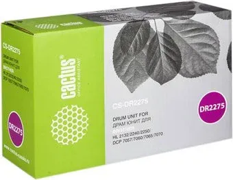 CACTUS CS-DR2275