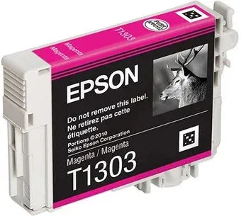 Epson C13T13034010