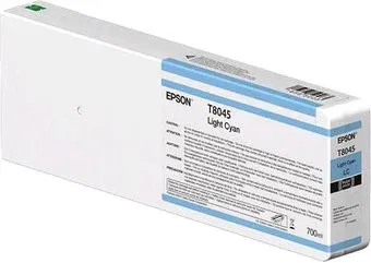 Epson C13T804500