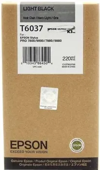 Epson C13T603700