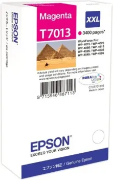 Epson C13T70134010