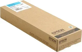 Epson C13T636500