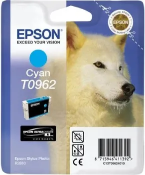Epson C13T09624010