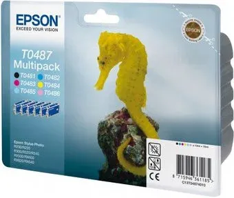 Epson EPT04874010 (C13T04874010)