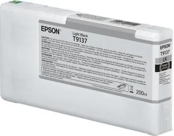 Epson C13T913700