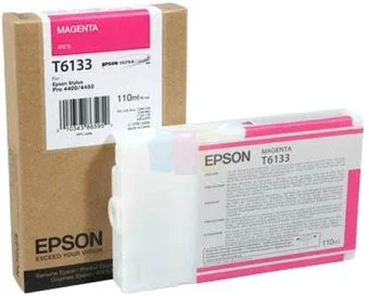 Epson C13T613300