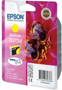 Epson T0734