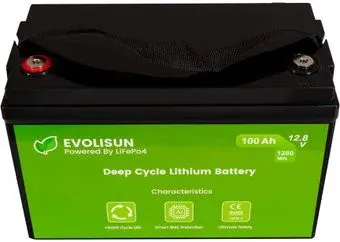 Evolisun EVOLISUN100Q10-LFP (12.8В/100Ач)