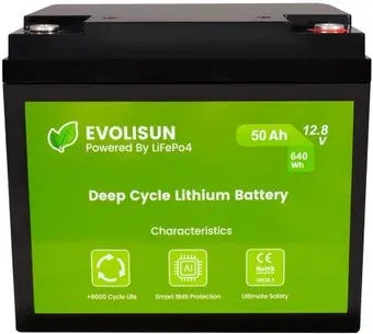 Evolisun EVOLISUN50Q10-LFP (12.8В/50Ач)