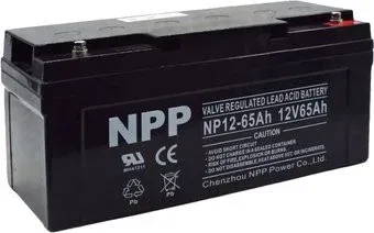 NPP NP 12-65 (12В/65 А·ч)