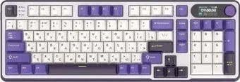 Royal Kludge RK-S98 RGB Blackberry (RK Chartreuse)