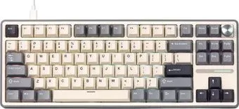 Royal Kludge R87 Pro RGB Half Grey (RK Cream)