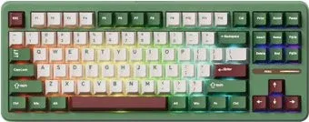 Akko TAC87 Matcha Red Bean (Akko Cilantro)