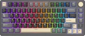 Royal Kludge RK-M75 RGB Phantom (RK Silver)
