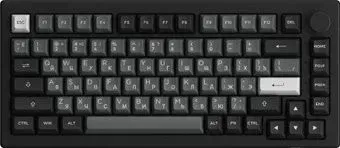 Akko 5075S Black & Silver (Akko Cream Yellow V3 Pro)