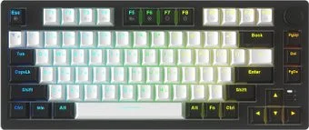 Dareu EK75