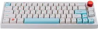 Epomaker TH66 Pro (Epomaker Budgerigar)