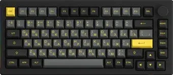 Akko 5075B Plus Black &amp; Gold (Akko Cream Yellow V3 Pro)