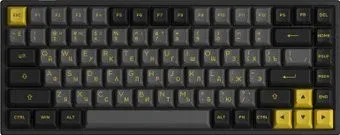 Akko 3084B Plus Black &amp; Gold (Akko Cream Yellow V3)