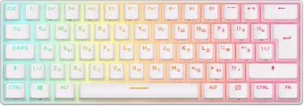 Royal Kludge RK61 New RGB (белый, RK Brown)