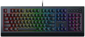 Razer Cynosa v2 (нет кириллицы)