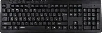 QUMO Paragraph