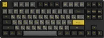 Akko 5087S Black &amp; Gold (Akko CS Jelly Purple)