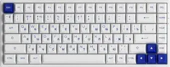 Akko 3084B Plus White & Blue (Akko CS Jelly Purple)