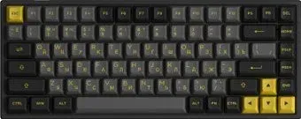Akko 3084B Plus Black & Gold (Akko CS Jelly Purple)