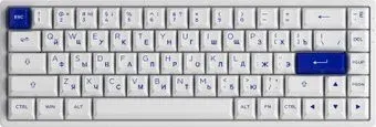 Akko 3068B Plus White &amp; Blue (Akko CS Jelly Purple)
