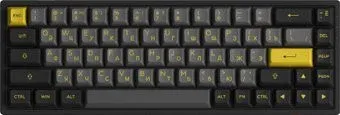 Akko 3068B Plus Black &amp; Gold (Akko CS Jelly Purple)