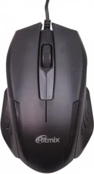 Ritmix ROM-300