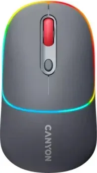 Canyon MW-22 (темно-серый)