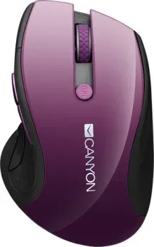 Canyon CNS-CMSW01P